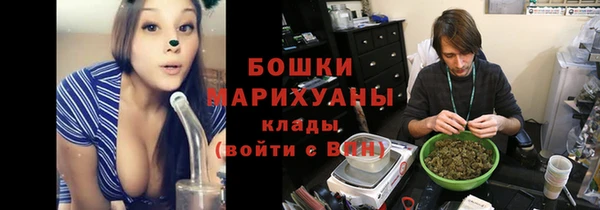 мдпв Няндома