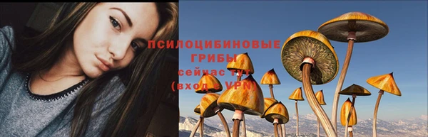 apvp Осташков