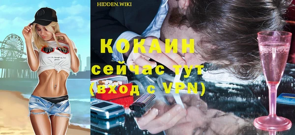 мдпв Няндома