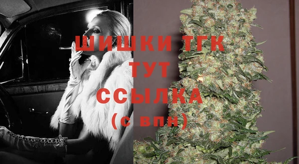 мдпв Няндома