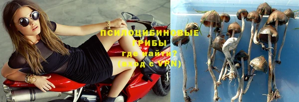 шишки Нягань