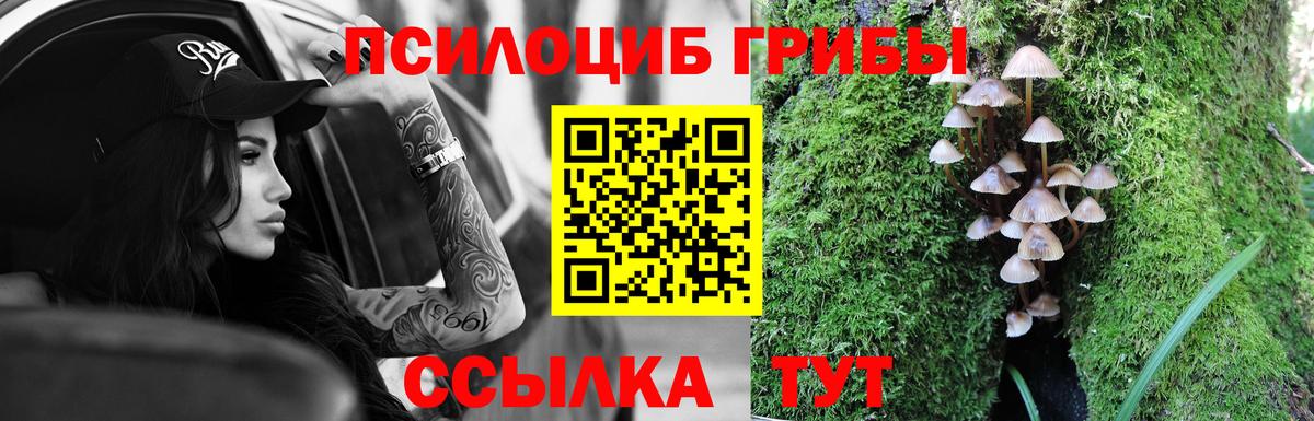 Галлюциногенные грибы Magic Shrooms  Липецк  Псилоцибиновые грибы GOLDEN TEACHER 