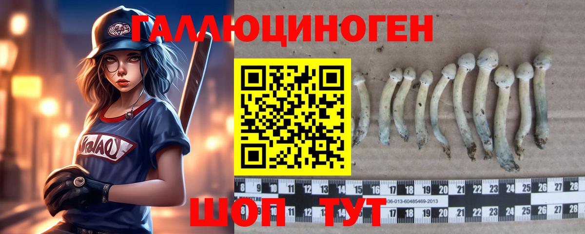 Псилоцибиновые грибы MAGIC MUSHROOMS Липецк
